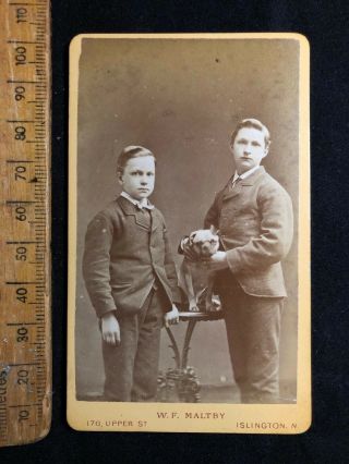 F Rare 1800s Victorian Maltby Islington Boys Pug Dog B&w Cdv Photo Cabinet Card