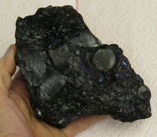 Very Large Mineral Specimen Of Gilsonite (hydrocarbon) From Uintah Co. ,  Utah