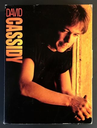 DAVID CASSIDY Lyin ' To Myself RARE PROMO PACKAGE 1990 Press Release,  CD,  VHS 2