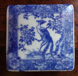 Antique Chinese Export Blue And White Porcelain Ink Trinket Box & Lid Nyc Estate