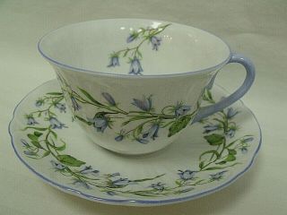 Rare Shelley Bone China “harebell” Porcelain Cup & Saucer,  Oleander Floral
