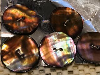 6 Antique Abalone Shell Buttons 2 Hole Sew - Through 1 1/8 "