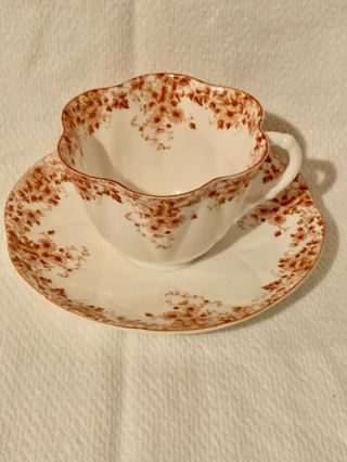 Shelley Dainty Brown Tea Cup And Saucer Teacup Rare Collectible