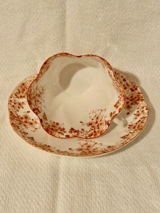 Shelley Dainty Brown tea cup and saucer Teacup Rare Collectible 2