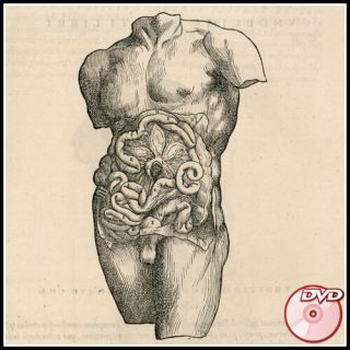 Anatomy 5 Rare Antique Books - Vesalius - Geminus - Dvd
