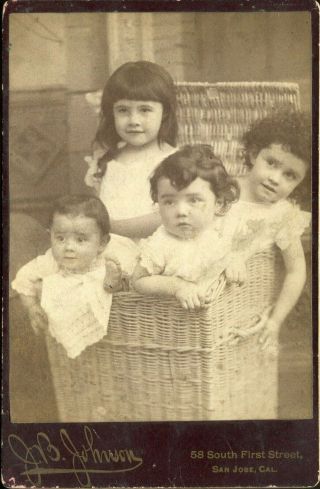 Antique Photographs On Card Of Four Toddler & Baby Girls In Laundry Basket