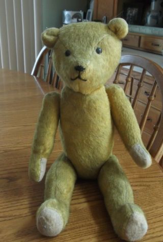 Antique Old Bright Gold Mohair Teddy Bear 17 " Excelsior Stuffed With Growler
