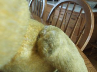 ANTIQUE Old bright Gold mohair teddy bear 17 
