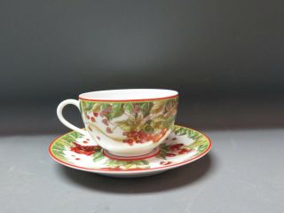 Hermes Le Jardin De Pythagore Tea Cup & Saucer Set Rare