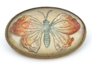 C.  1900 - Antique / Art Nouveau Butterfly Celluloid & Gold Filled Pin / Brooch