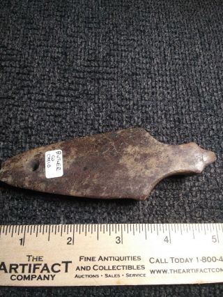 Indian artifact G10 Rare Ohio Hardstone Birdstone Drilled Lizard Effigy 2