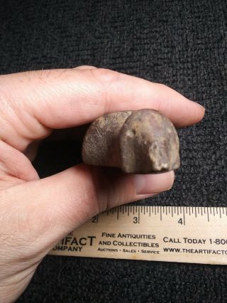 Indian artifact G10 Rare Ohio Hardstone Birdstone Drilled Lizard Effigy 3