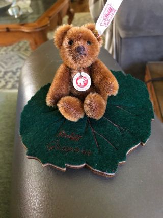 Miniature Steiff Bear On Heart Shaped Galax Leaf Ean 681516 Grayson Rare