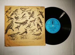 Mega Rare Soviet Field Recording (1959) " Voices Of Birds " Picture Sleeve 1st Ed