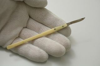 Antique Scalpel Bone Handle Medical Surgical Tool