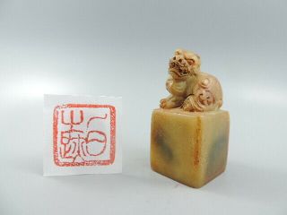 Old Chinese Hand - Carved Shoushan Stone Seal Chop Stamp Seal Signet Lion Statue