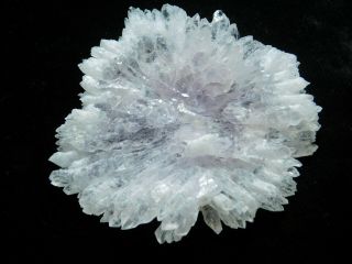 A Very Rare Quartz Crystal FLOWER Cluster From Brazil 36.  8gr e 2