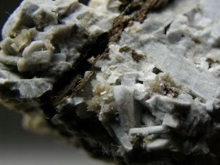 CALCIOANCYLITE - Rare Crystals on Matrix from Mont Saint - Hilaire 2