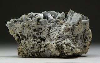 CALCIOANCYLITE - Rare Crystals on Matrix from Mont Saint - Hilaire 3