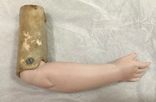 Antique Bisque Doll Right Arm 8 " Long Bru Look