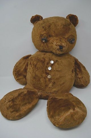Antique Large 26 " Early American Mohair Chubby Brown Teddy Bear Button Eyes