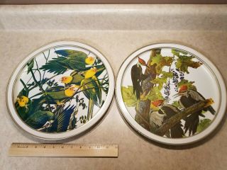 Rare Set Of 2 Vtg Sunshine Biscuit Tin Lids/trays Audubon Birds 13.  5 " - Colorful