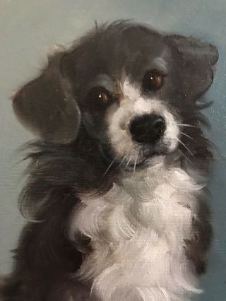 Barnes Oil Painting Vintage Antique Style Portrait Adorable Border Collie Dog