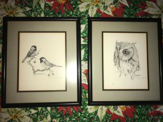 E.  F.  Ernest Muehlmatt Owl Rare Song Birds Wildlife Print Artist Signed In Pencil