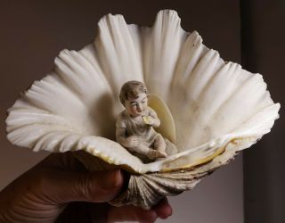 Vintage Antique Victorian Sea Shell Art Seashells Baby Doll Boy Figurine Beach