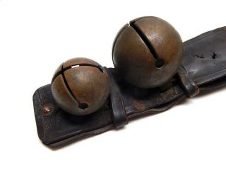 Antique 19th C.  Brass Horse Sleigh Bells (4 Bells) on Leather Strap 2