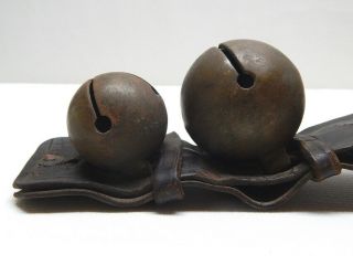 Antique 19th C.  Brass Horse Sleigh Bells (4 Bells) on Leather Strap 3