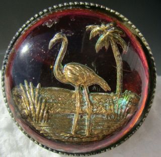 Scarce 1940s " Flamingo " Iridescent Vintage Antique Gold Bird Under Glass Button