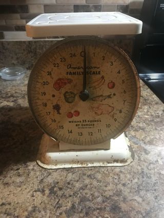 Vintage American Family Food Kitchen Scale 25 Pound Lb Metal White