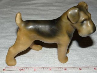 Vintage Germany Erphila Porcelain Dog Figurine 5 " Schnauzer/terrier ? Antique