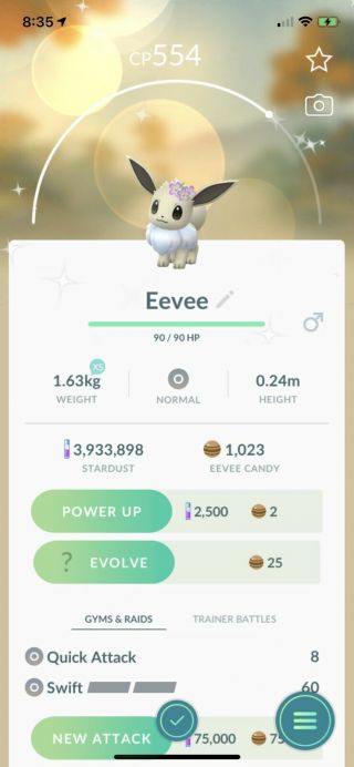 Pokemon Go Shiny Flower Crown Eevee Rare