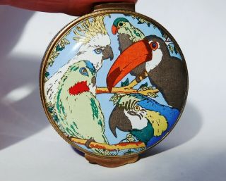 Rare - Early Crummles Enamel Box Pill Pot Toucan Cockatoo Parrot Exotic Birds
