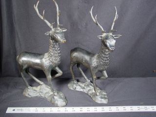 Pair Antique Early 20thc Heavy Metal Reindeer Figural Bookends Deer 13 " Tall