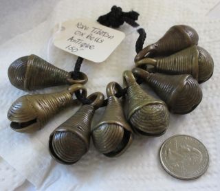8 Rare Antique Hand Crafted Unique Tibetan Brass Ox / Cow Bells