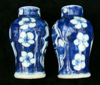Chinese Kangxi style miniature vases - prunus pattern - C 1920 3