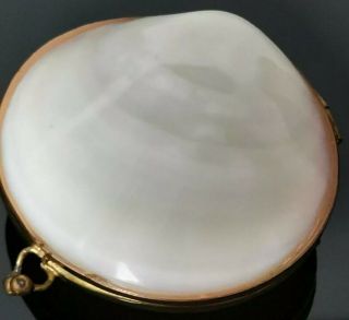 Rare Antique 20th Century Shell & Brass Mounted Purse