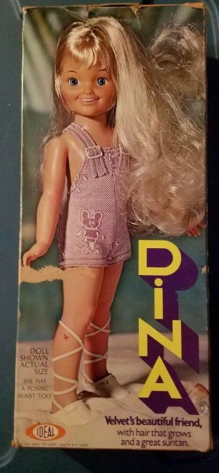 Vintage 1971 Dina Grow Hair Doll Ideal Crissy Family W Box