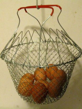 Vintage Folding Collapsible Wire Egg Fruit Gathering Farm Basket.  9 In.