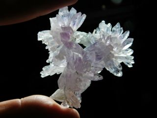 A Small Very Rare AMETHYST Crystal FLOWER Cluster From Brazil 44.  0gr e 2