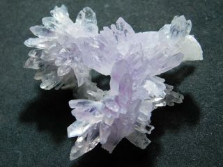 A Small Very Rare AMETHYST Crystal FLOWER Cluster From Brazil 44.  0gr e 3