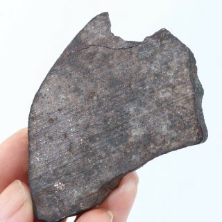 23g Rare Chondrite Meteorite Nwa Unclassified Meteorit Chondrit Slice A4331