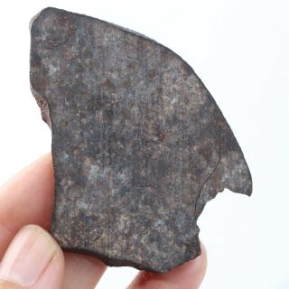23g Rare chondrite meteorite NWA unclassified Meteorit Chondrit slice A4331 2