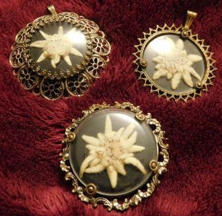 Rare 2 Vintage Pendants & A Vintage Brooch Each With A Real Pressed Edelweiss In