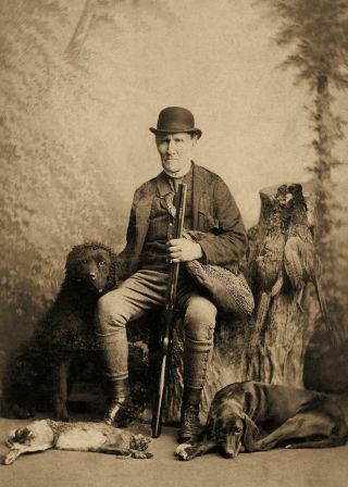 Antique Hunting Photo.  Man W/ Dogs Rifle Bird Hunting.  Photo Print 5x7