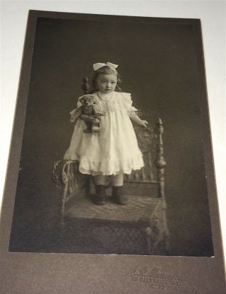 Rare Antique American Fashion Girl,  Toy Teddy Bear Gettysburg,  Pa Cabinet Photo