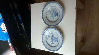 2 Asian Porcelain Blue & White Flower Translucent Rice Eyes 10 " Dinner Plates
